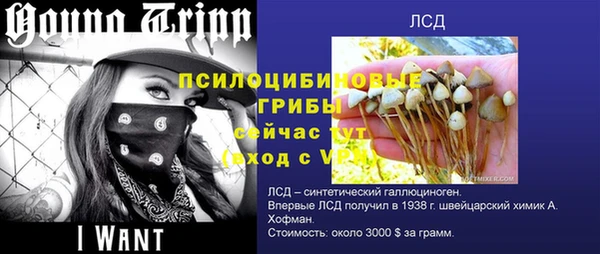 а пвп мука Магас