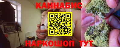 прущие крисы Кандалакша